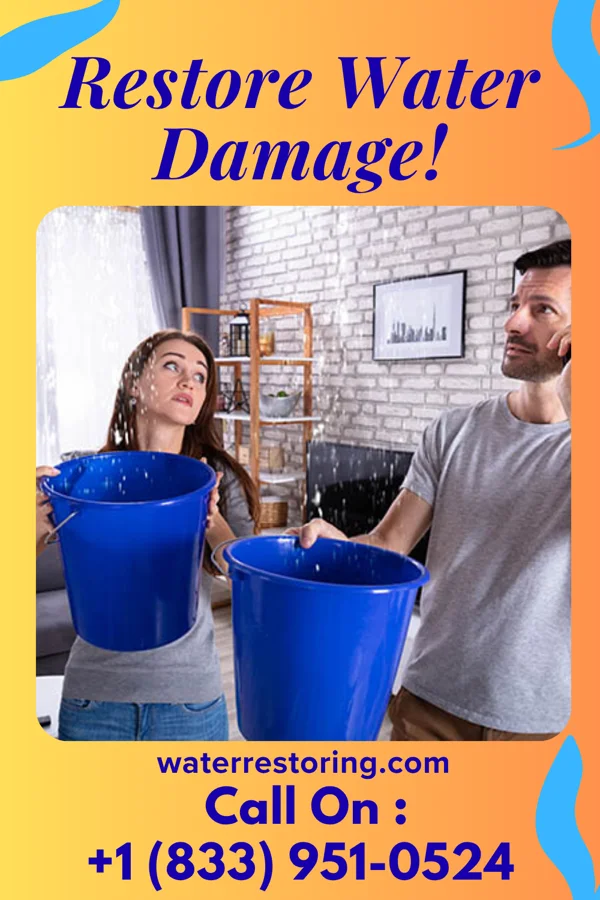 water restoration Ace Damage Restoration Group Versailles