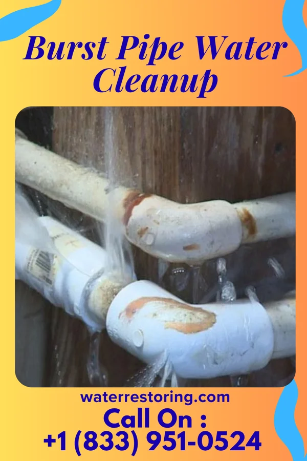 Burst Pipe Water Cleanup in Versailles, PA