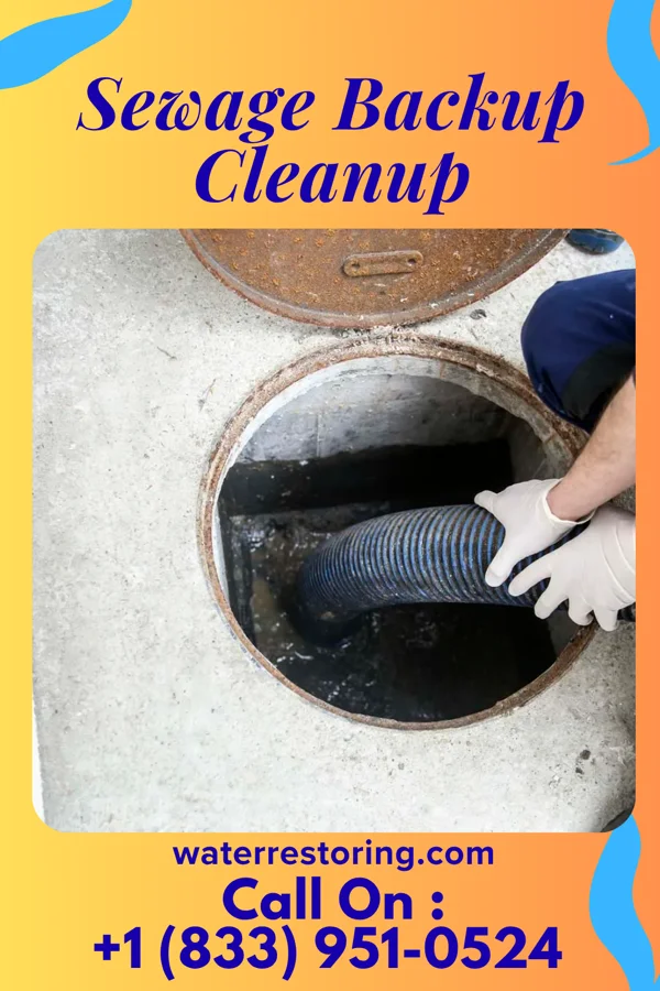 Sewage Backup Cleanup in Versailles, PA