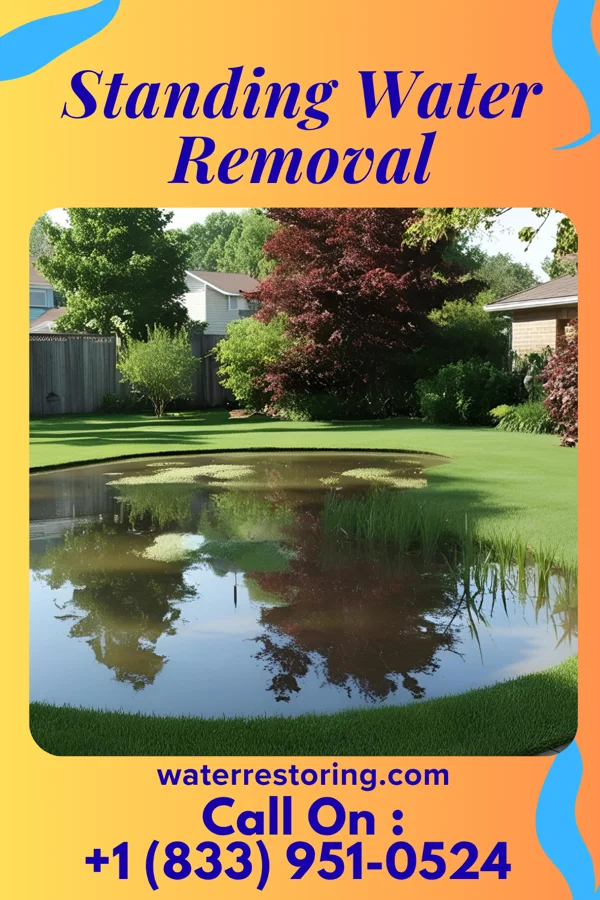 Standing Water Removal in Versailles, PA